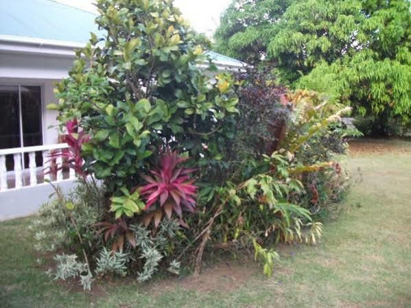 הוילה Pointe La Rue Marl Self Catering מראה חיצוני תמונה